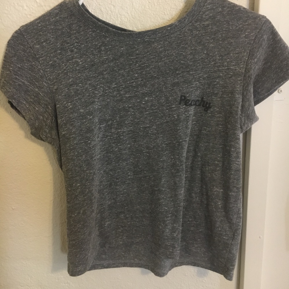 Gray Peachy Crop Top